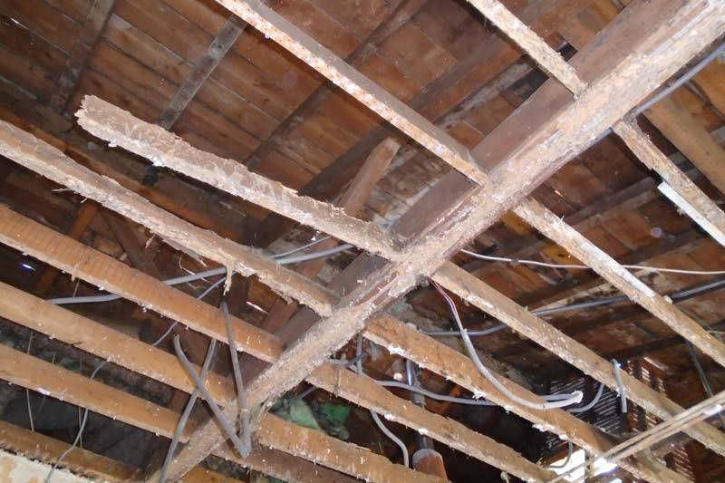 ©TERMISER Traitement charpente bois attaquée par des termites sur Bordeaux