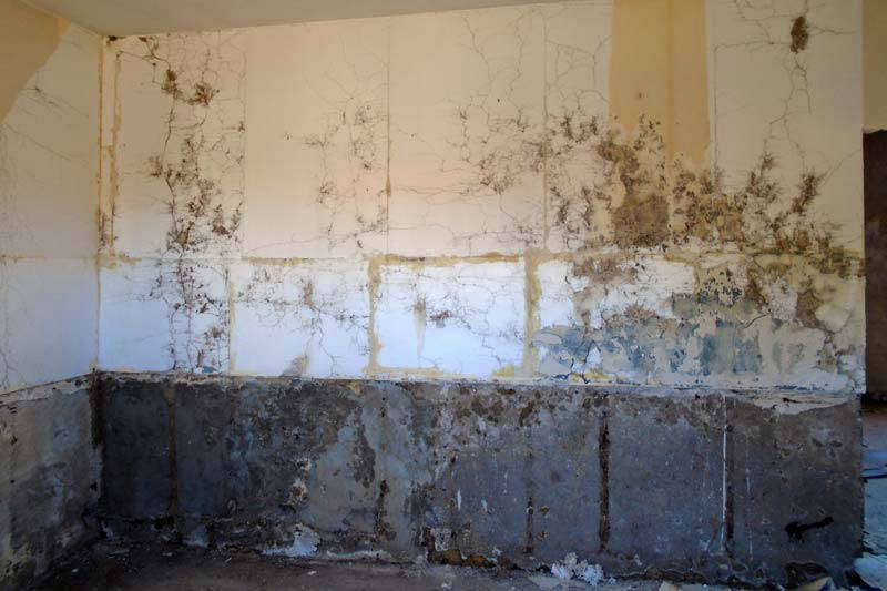©TERMISER Traitement Cordonnets de termites sur les mur d'une bâtisse à Bordeaux