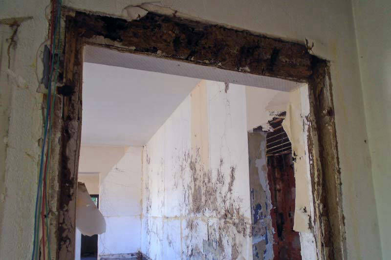 ©TERMISER Traitement Encadrement de porte attaquée par une colonie de termites