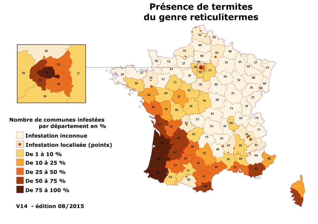 Présence de termites réticulitermes en France